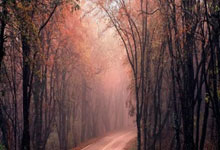 最新战报,德约科维奇抢七惜败门希克,100冠难了:险些1-4大逆转.