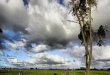 德天空:拜仁签内马尔的传闻不切实际,巴萨仍对他感兴趣.