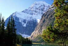 狗子28:乒乓球——WTT重庆冠军赛:张本智和晋级八强.